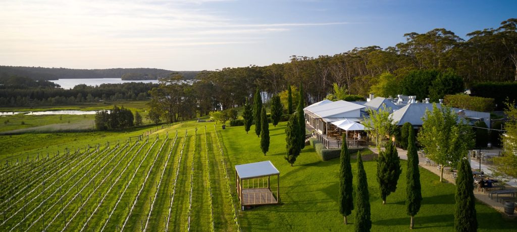 A location shot of Cupitts Winery