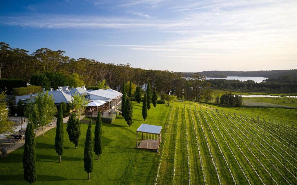 A location shot from Cupitts Winery