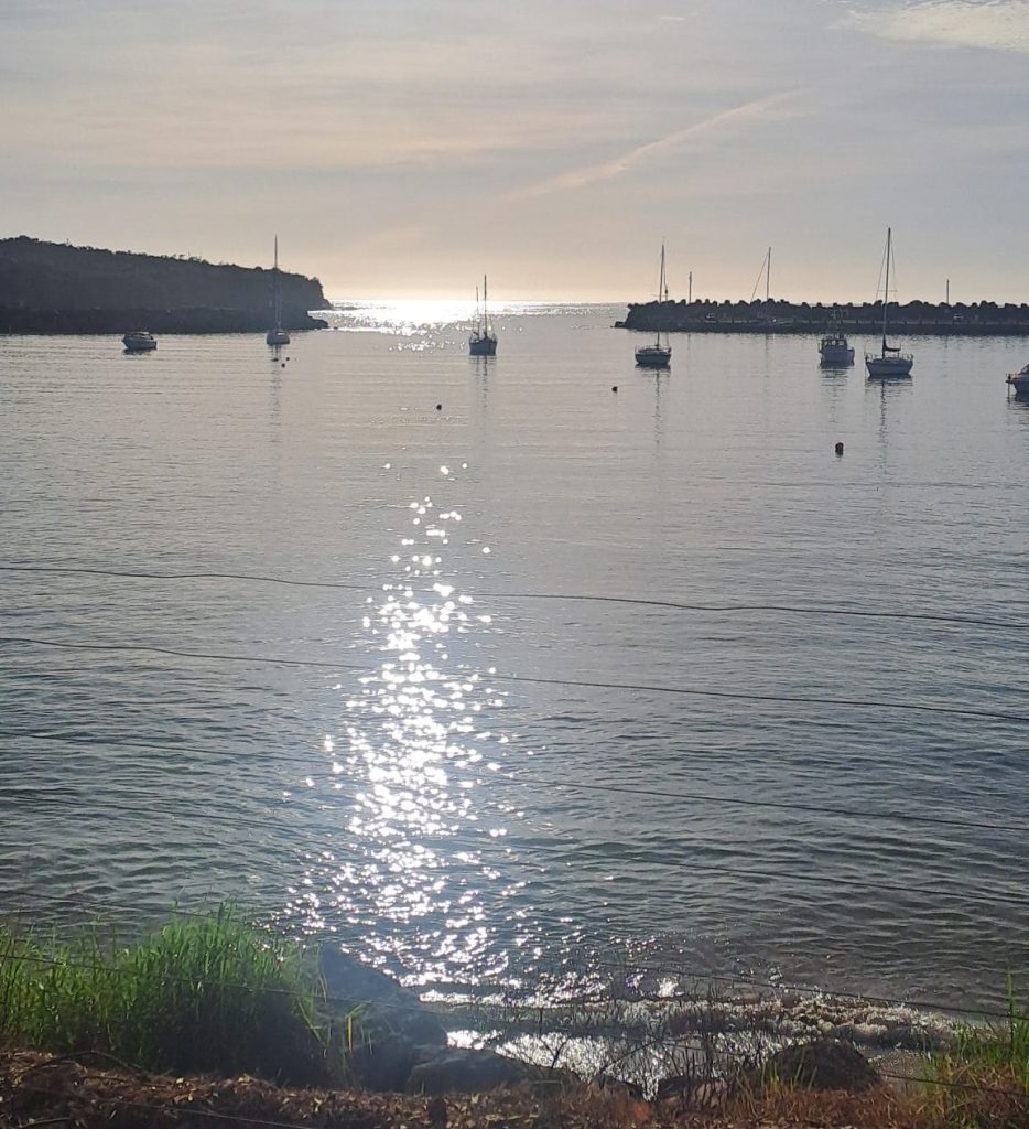Ulladulla Harbour sunrise