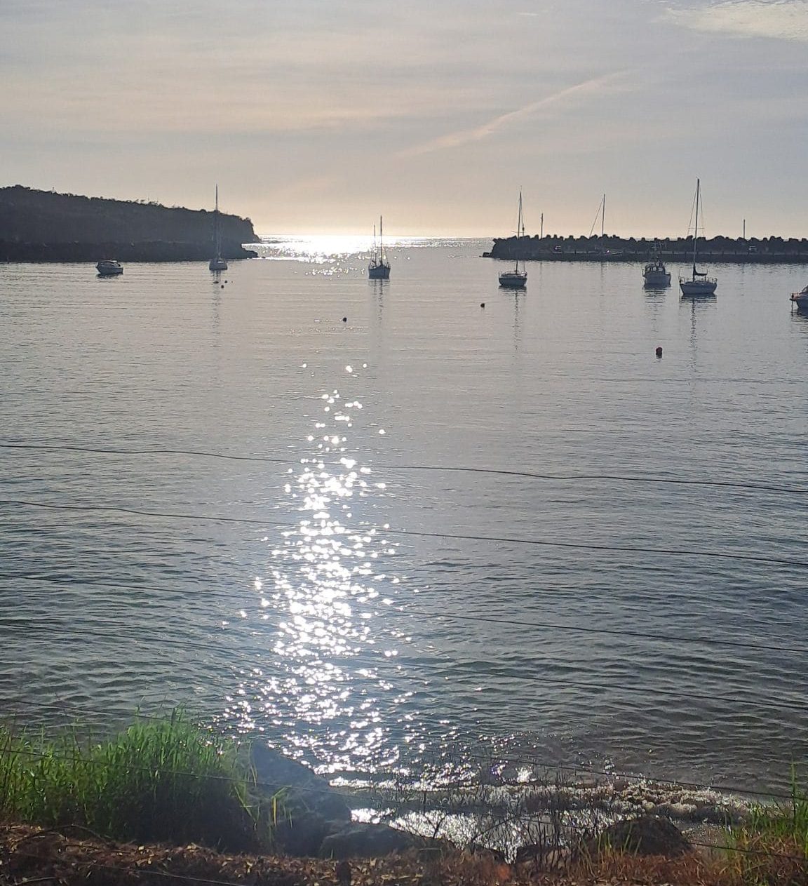 Ulladulla Harbour sunrise